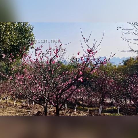 《黑神话：悟空》里探寻的山西古迹之旅，打卡攻略大放送